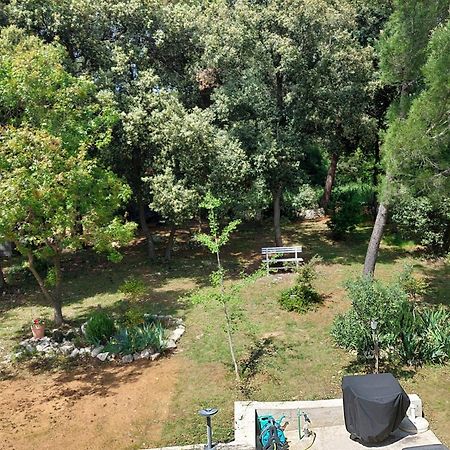 Apartament Marta Rovinj Zewnętrze zdjęcie