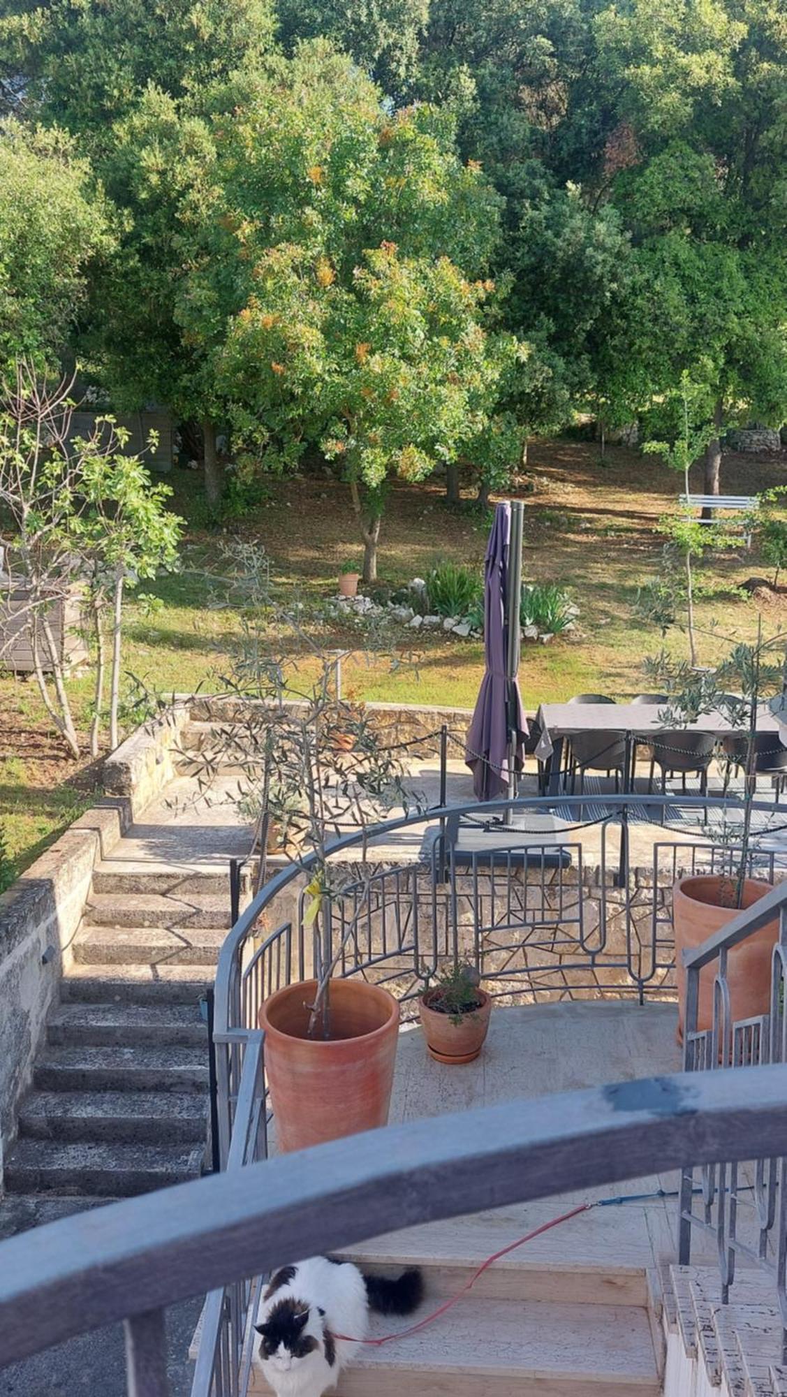 Apartament Marta Rovinj Zewnętrze zdjęcie